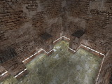 asb_sims