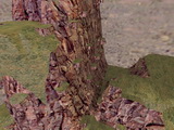 clintmo_naturalmountain