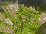 cypress_cratemadness