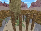 cypress_island