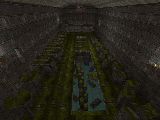 cypress_oldtemple