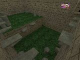 kzbr_guss_puny