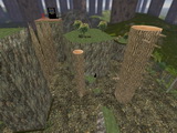 kzru_forestclimb