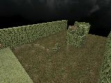 kztw_minioasis