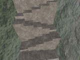 lotus_bhopstairs