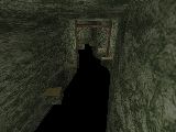 mt_goldcycle