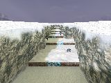 ncp_snowlj