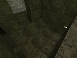 ph_bug_room2