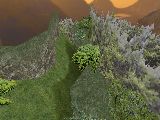 slide_cobkz_jungle