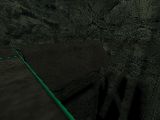 slide_pre_chasm
