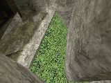slide_tz_weed