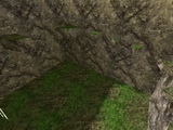 smk_hnseu_besidejungle
