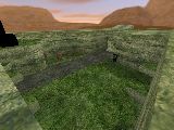 smk_kzsca_turtles