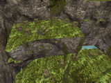 sxj_challenge_junglez