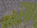 sxj_challenge_stonie